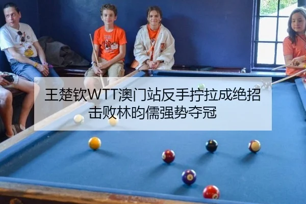 王楚钦WTT澳门站反手拧拉成绝招 击败林昀儒强势夺冠
